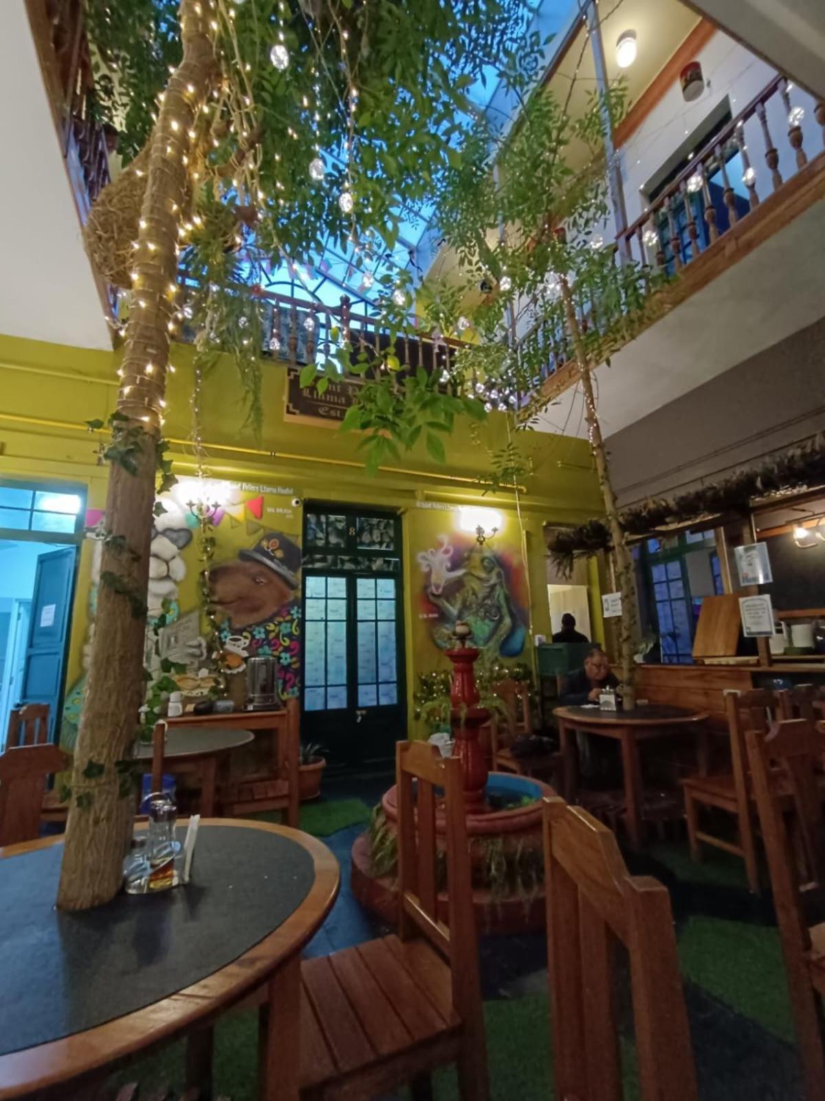 Saint Peter'S Llama Hostal La Paz Luaran gambar